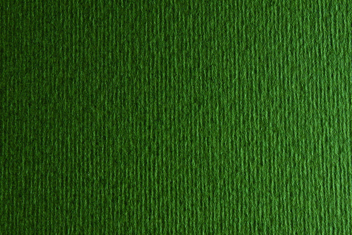 Fabriano Bristol Board - FOREST INCH - 20 X 28 INCHES GRAMPERSQU