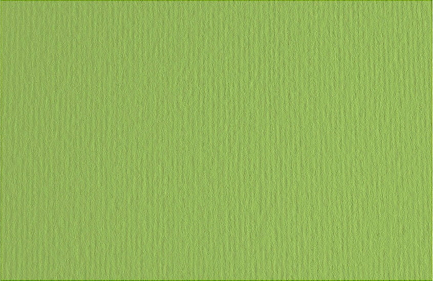 Fabriano Bristol Board - GREEN PEAS INCH - 20 X 28 INCHES GRAMPE