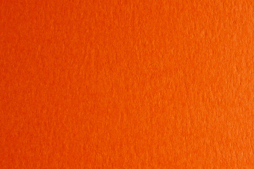 Papier colore - homard grampersquaremeter - 50 x 70 centimètres grampersquaremeter