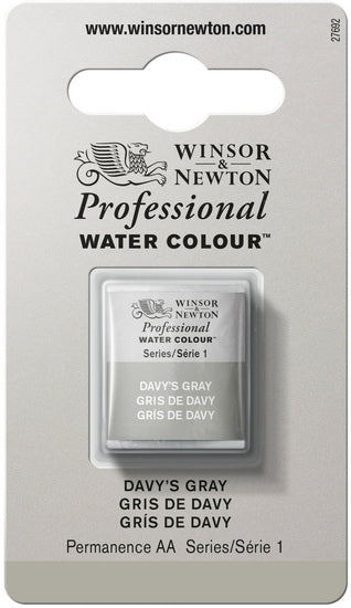 Aquarelle demi-godet - gris de davy - s1