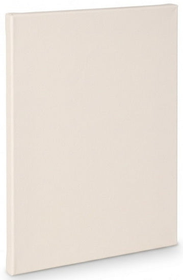 Artist canvas standard - 9x12"
