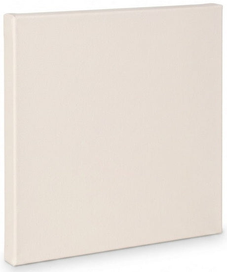 Artist canvas standard - 10x10"