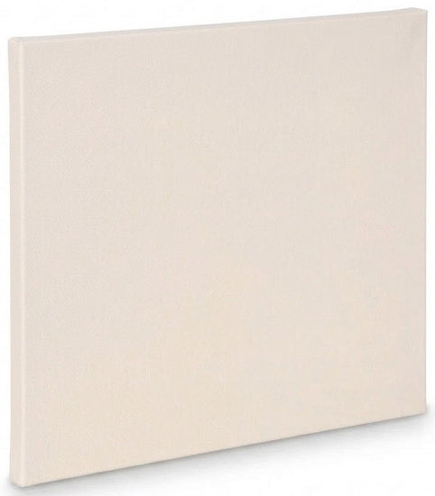Artist canvas standard - 10x12"