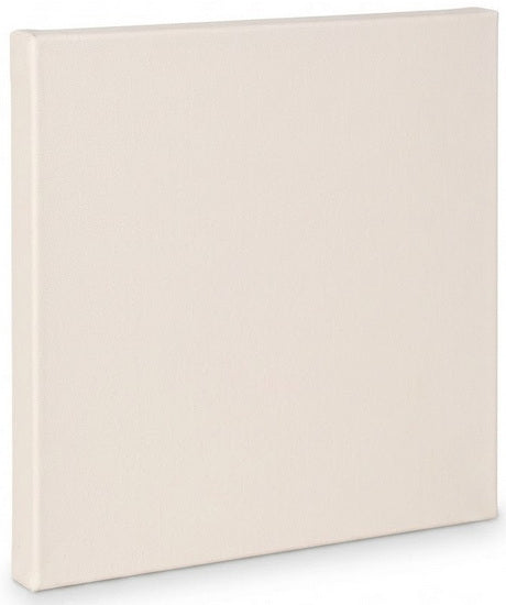 Toile artiste standard - 12x12po