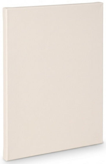 Toile artiste standard - 12x16po