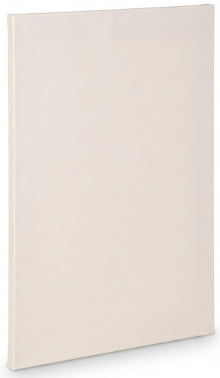 Artist canvas standard - 30x48"