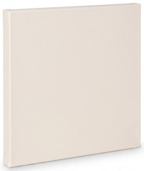 Toile artiste standard - 36x36po