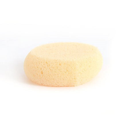 Hydra Synthetic Sponge