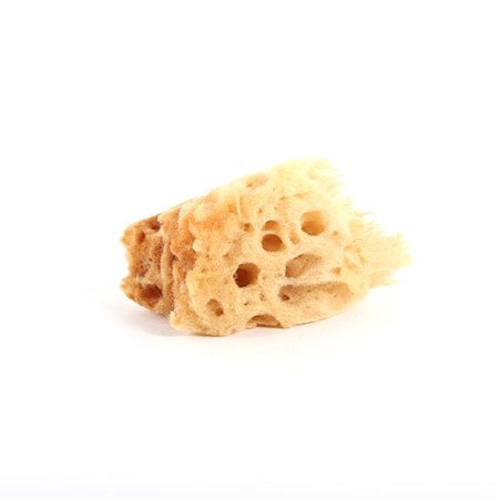 Sea Sponge Medium