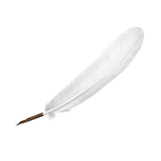 Plume d’oie – ivoire