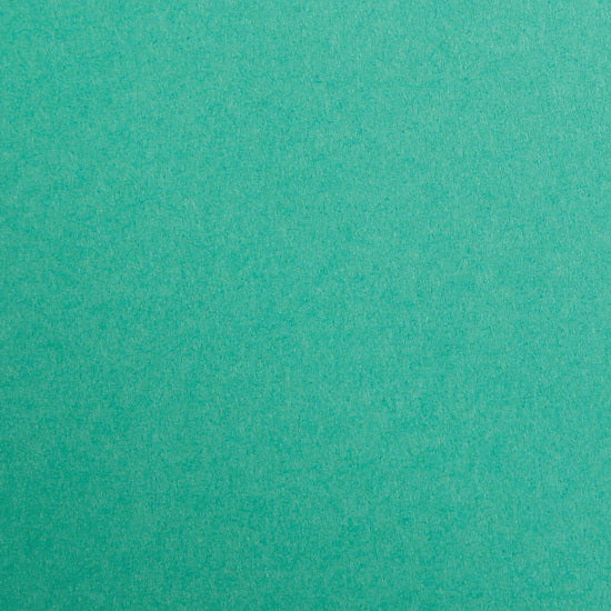 Pap.cartonne maya a4 270g vert sapin