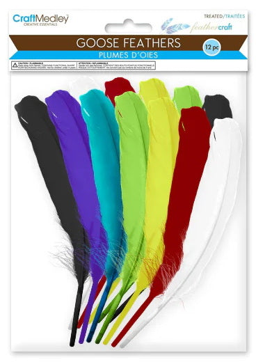 12 Plumes d'oies - 20.3cm
