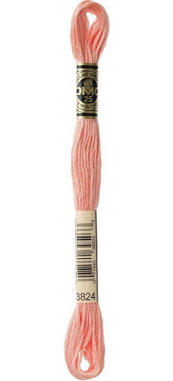 Embroidery floss - light apricot - 3824