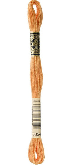 Embroidery floss - md autumn gold - 3854