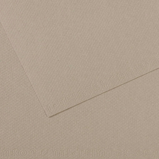 Colored paper - 160gsm - mi-teintes - 50x60cm - flannel gray