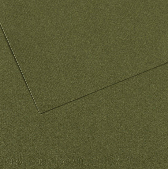 Colored paper - 160gsm - mi-teintes - 50x60cm - ivy