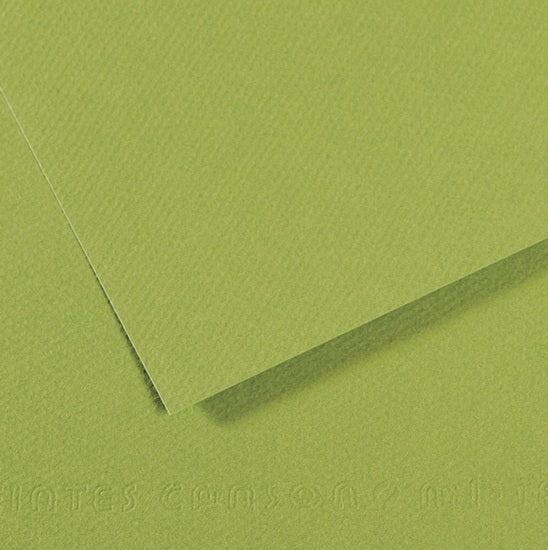 Colored paper - 160gsm - mi-teintes - 50x60cm - apple green