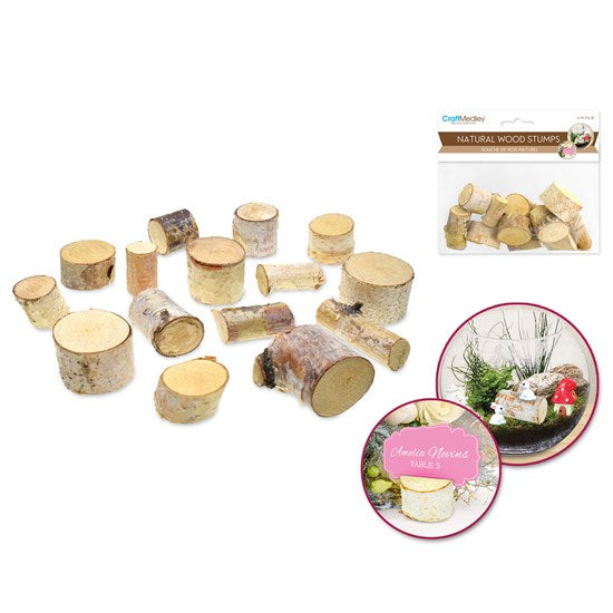 Mini branches bouleau