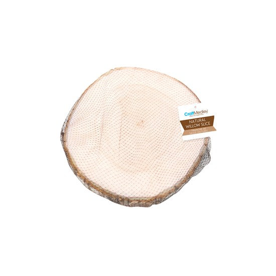 Birch slice - 18-20cm