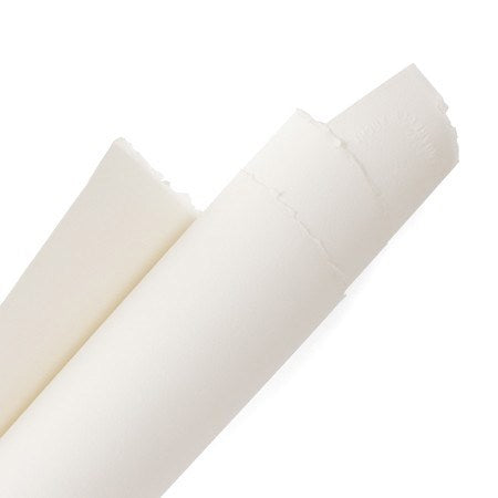 Papier aquarelle - 100% coton - blanc vif - 140lb - cp - 22x30po