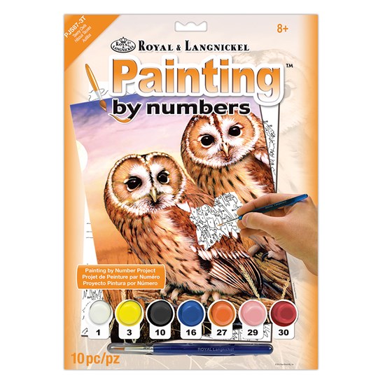 Peinture à numéros junior hiboux