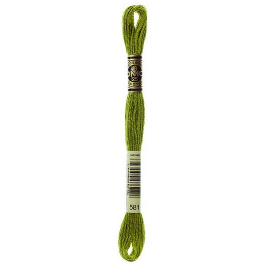 Embroidery floss - moss green - 581