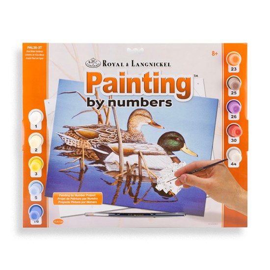 Paint By Numbers Mallards