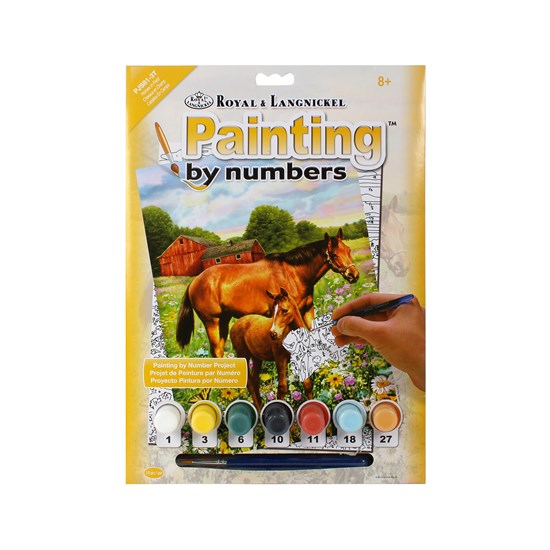 Peinture à numéros junior chevaux