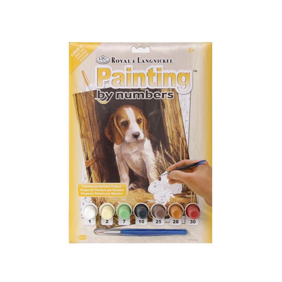 Paint By Numbers Junior Beagle