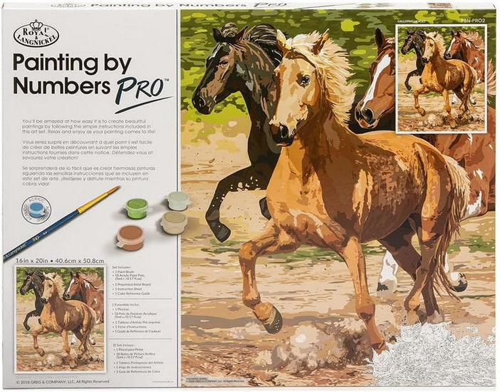 Ens. peinture à numéros cheval au galop
