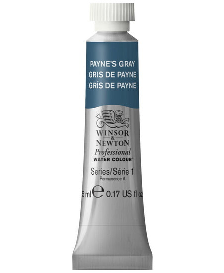 Professional watercolour - 5ml - payne's gray - s1