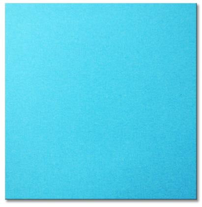 Heavyweight Bristol Paper Blue - 22x28"