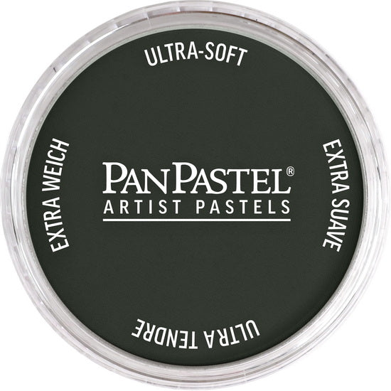 Pastel panpastel - 9ml gris neutre extra foncé 1