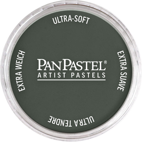 Pastel panpastel - 9ml gris neutre extra foncé 2