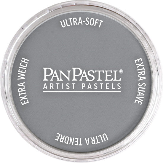 Pastel panpastel - 9ml teinte gris paynes