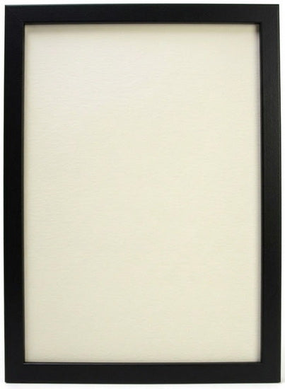 CADRE PHOTO ENTRE 2 VITRES Noir 18 X 24