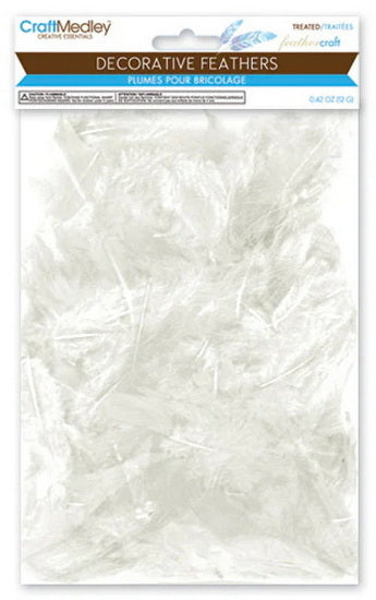 Plumes - blanc - 12gr