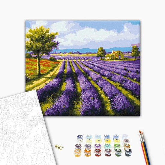 Ens. peinture à numéro champ de lavande