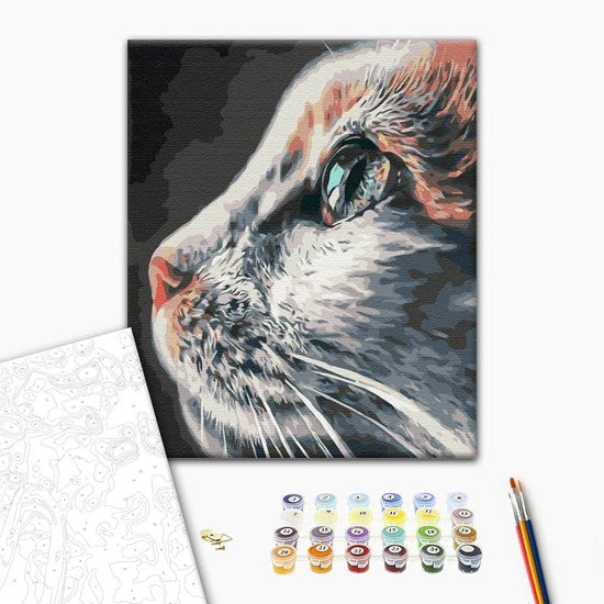 Ens. peinture à numéro chat