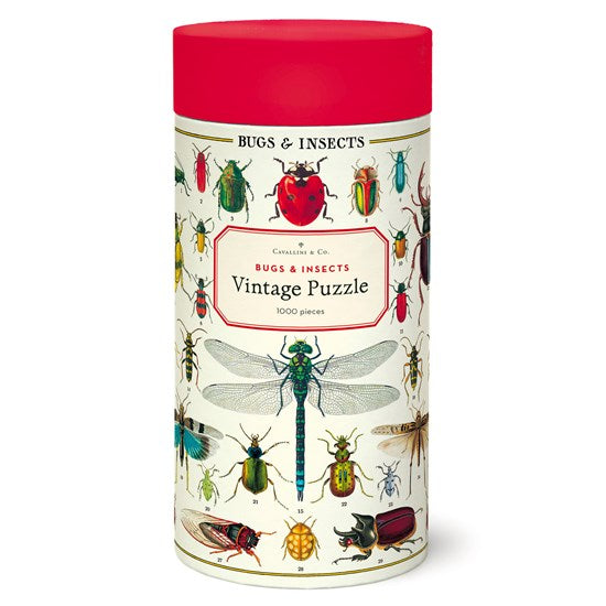 Insects 1000 Pcs