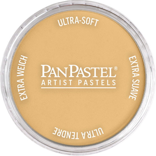 Pastel panpastel - 9ml or riche