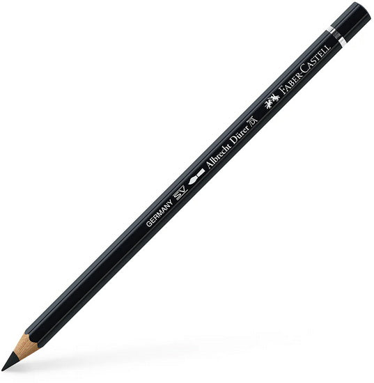 Albrecht dürer watercolour pencil black
