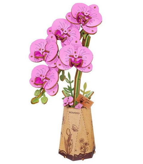 Purple Moth Orchid