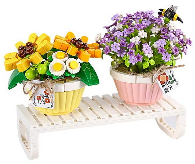 Potted Sunflower and Forget-me-not