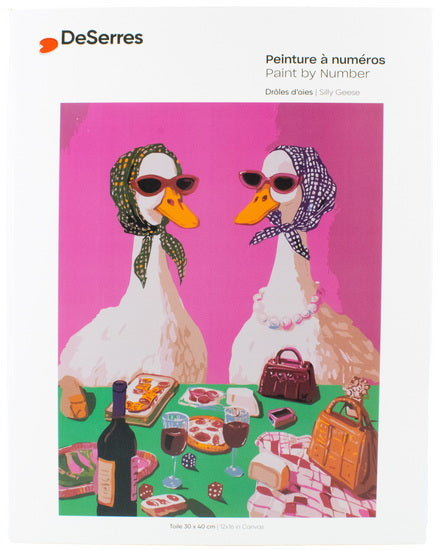 Paint by Numbers Silly Geese