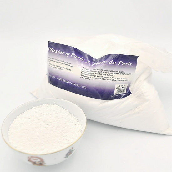 Poudre platre de paris 5 lbs
