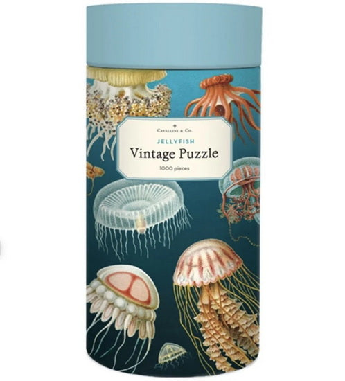Jellyfish 1000 Pcs