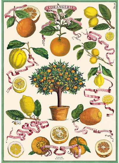 Papier décoratif - L'orangerie  20X28po
