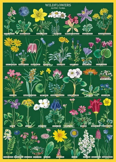 Wildflowers 2 Poster - 20x28in