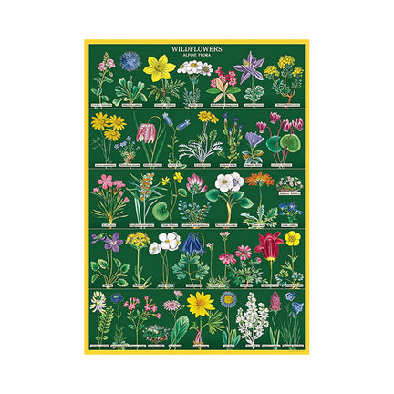 Decorative Paper – Wildflowers 2, 20 x 28 in